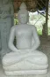 morepic-1